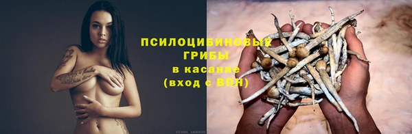 метадон Новодвинск