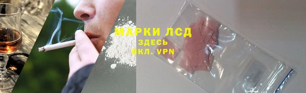 ГАЛЛЮЦИНОГЕННЫЕ ГРИБЫ Нягань