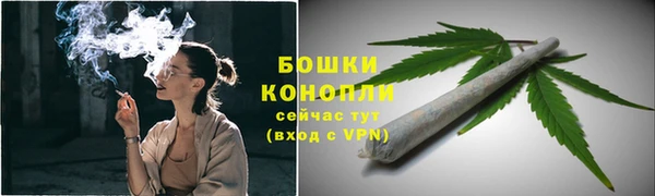 дмт Новозыбков