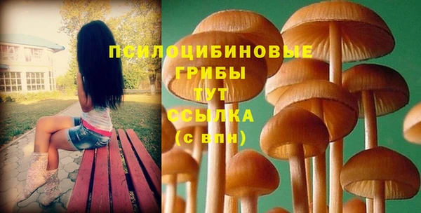 а пвп мука Няндома