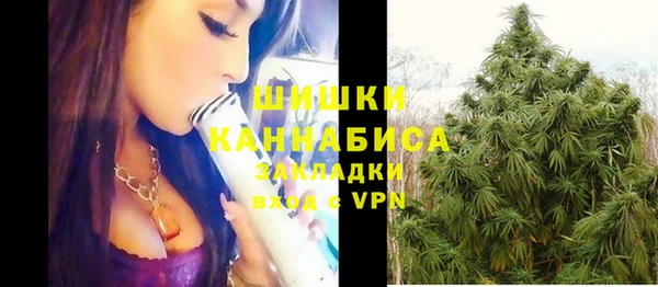 ГАЛЛЮЦИНОГЕННЫЕ ГРИБЫ Нягань