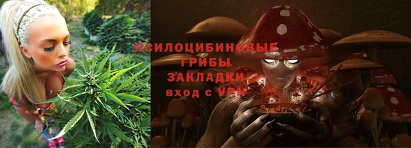 ГАЛЛЮЦИНОГЕННЫЕ ГРИБЫ Нягань