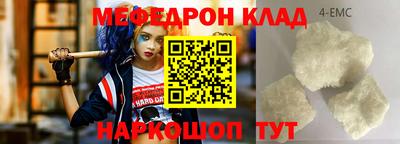 индика Гатчина