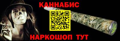 индика Гатчина