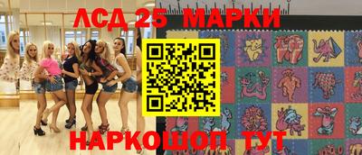 индика Гатчина