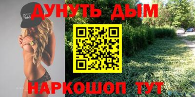 тгк Гай