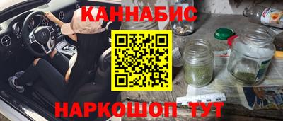 тгк Гай
