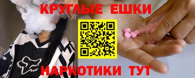 индика Гатчина