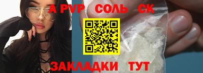индика Гатчина