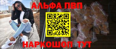 тгк Гай