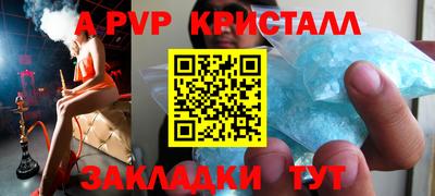 индика Гатчина