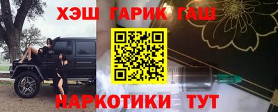 индика Гатчина