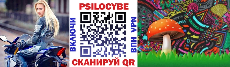 Псилоцибиновые грибы MAGIC MUSHROOMS OMG ТОР Калуга