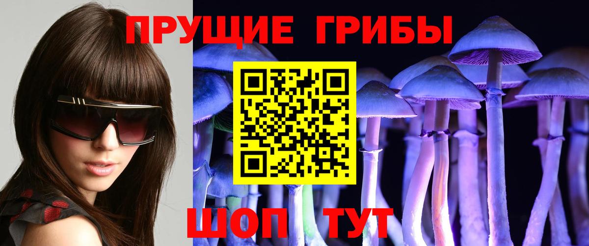 Псилоцибиновые грибы Psilocybe Калуга
